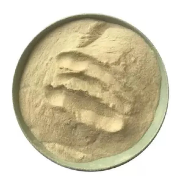 Factory Direct Sales Bacillus Subtilis Sales Excellent Probiotics