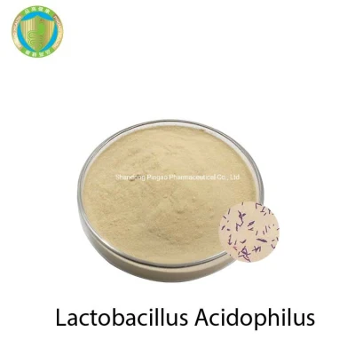 도매 식품 등급 프로바이오틱스 Lactobacillus Acidophilus