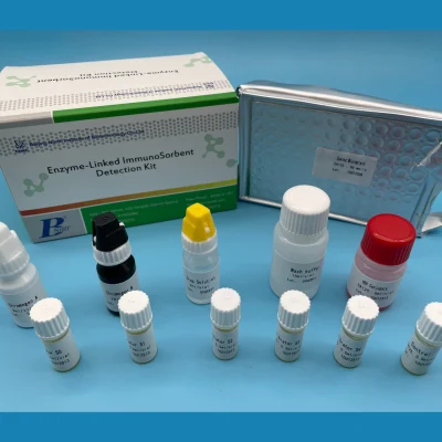 바이러스 DNA 및 Rna에 대한 Diazepam Elisa 시약 키트 EIA 검출